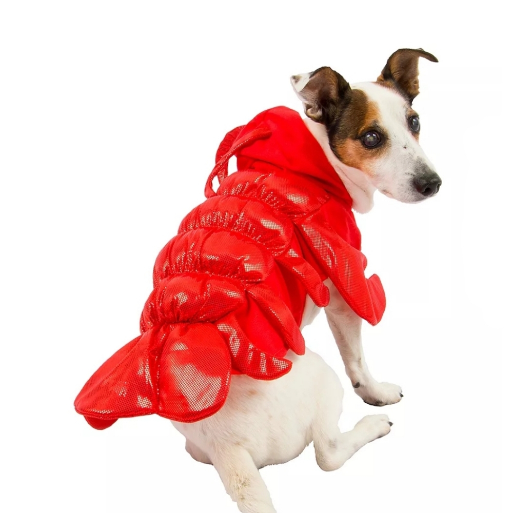 NEW  Doggie Lobster Costume